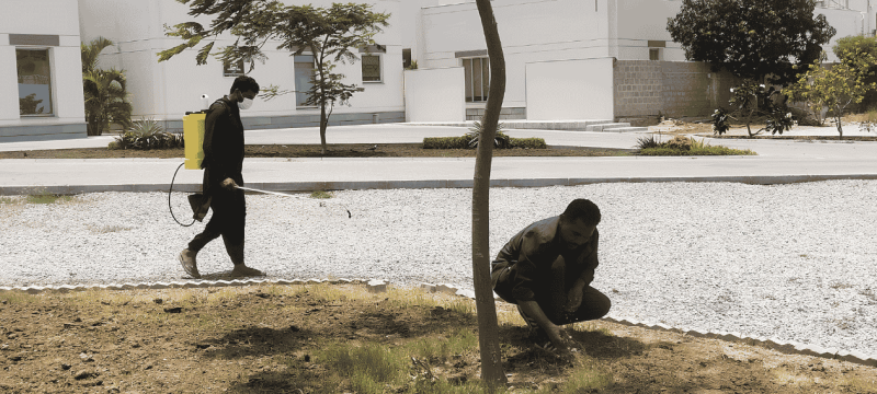 UAE Mission Suspends Midday Work Hours in Karachi Amid Intense Heatwave