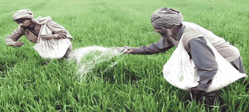 Pakistan Orders Action Against Artificial Fertilizer Price Hikes