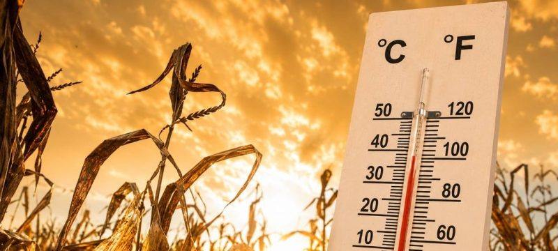 Pakistan Records Second-Hottest Year in 65 Years as Rising Temperatures Raise Climate Concerns