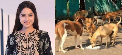 ‘We Shouldn’t Punish All Dogs’: Sabeena Farooq Opposes Stray Dog Culling