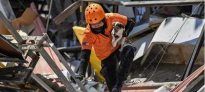 Philippines Earthquake Death Toll Rises to 46 as Rescue Operations Continue
