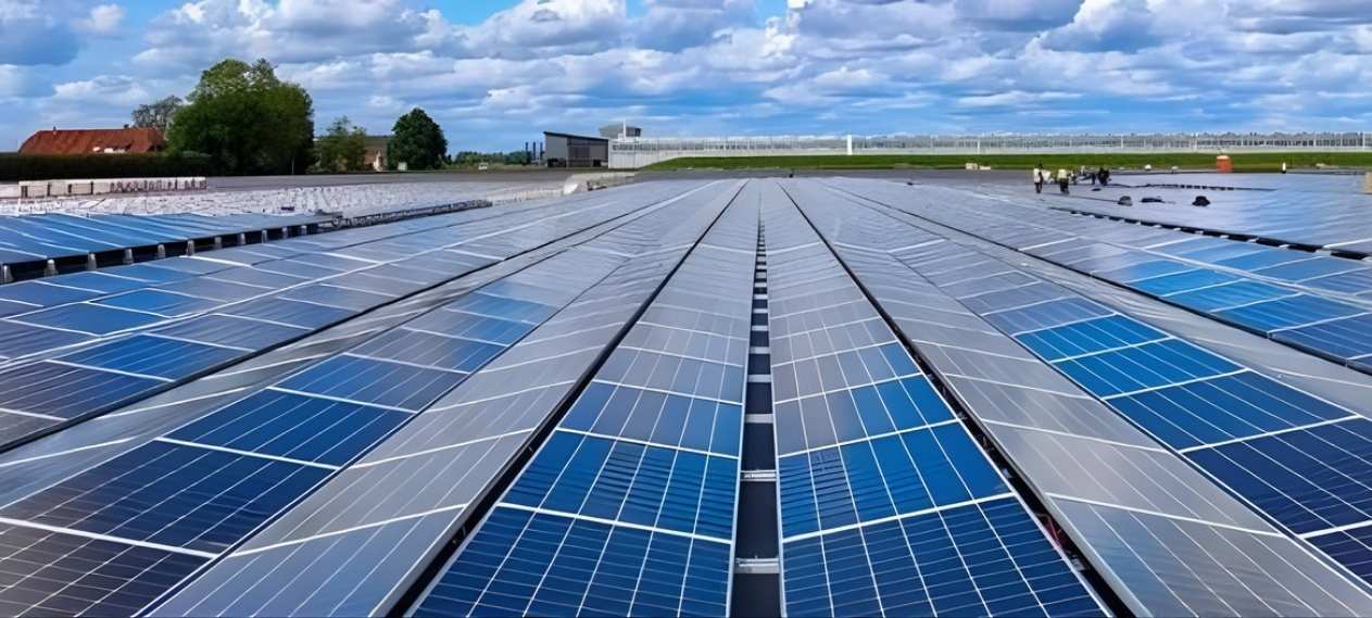 Solar Panels Prices Drop in Lahore as Market Sees New Decline Trend