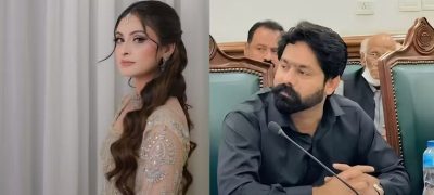 Another Actress Reportedly Reveals How Punjab MPA Saqib Chadhar Allegedly Slid into Her DMs
