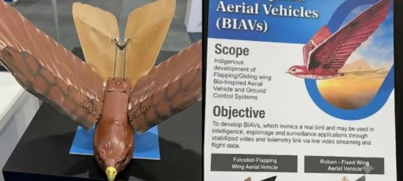 Pakistan’s New Bird Spy Drone to Take Surveillance Technology to ‘Next Level’