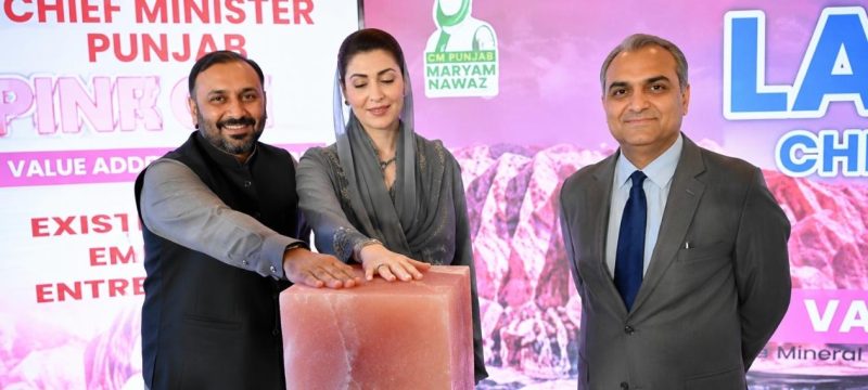Punjab Launches Pink Salt Financing Scheme, Plans New Processing Zone