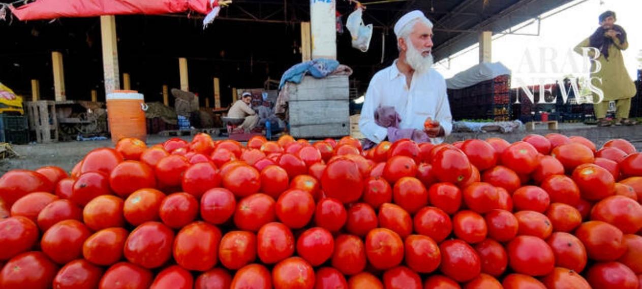 Tomato Prices Climb to Rs. 500 Per Kg Despite Iranian Imports