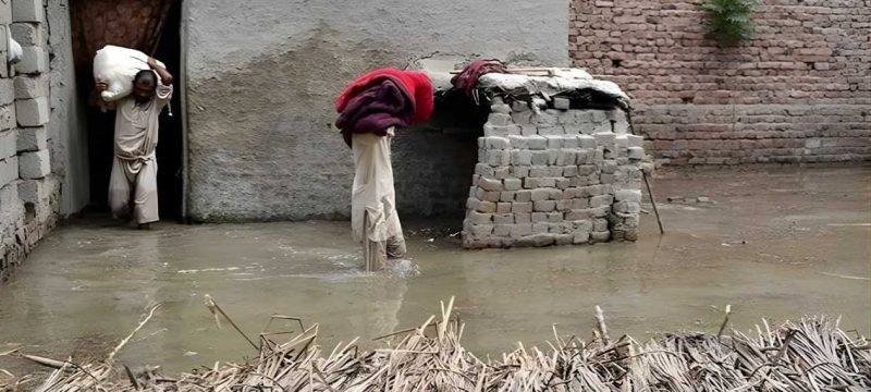 PDMA Reports 14 Deaths as Heavy Rain and Flash Floods Hit KP
