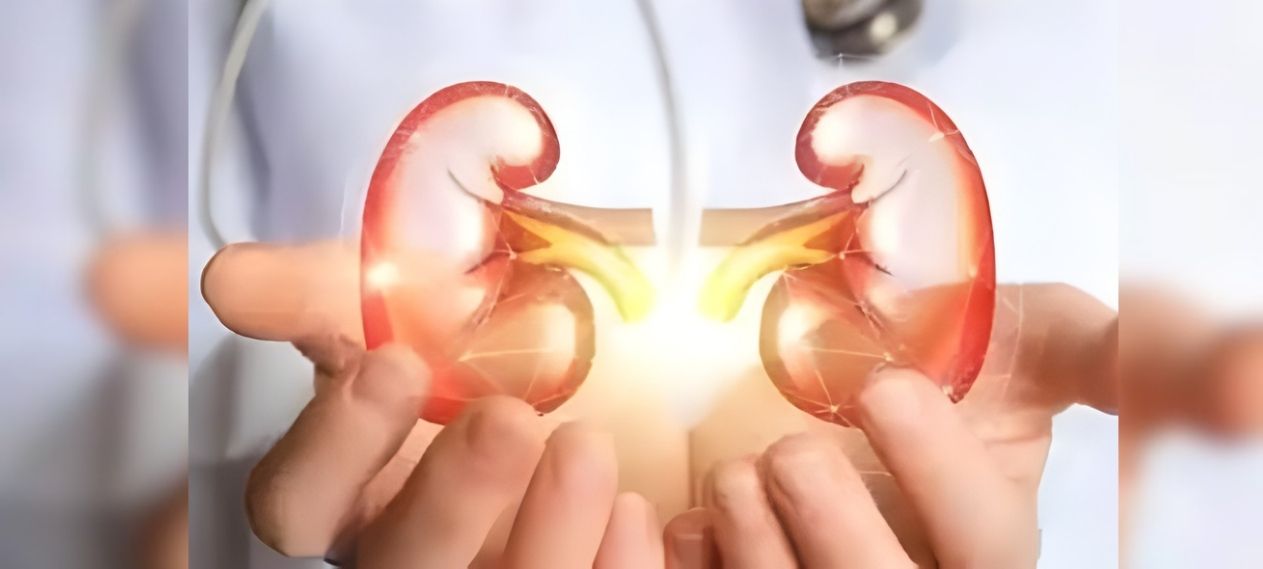 Kidney Disease Cases Linked to Diabetes Rise, New Study Finds