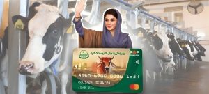 Punjab Opens Applications for Phase 3 of Livestock Card with Interest-Free Loans Up to Rs. 540,000