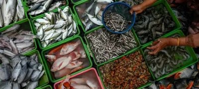 Pakistanโs Seafood Exports Reach Record $568 Million in FY2025-26