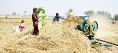 PM Shehbaz Approves AI-Based Overhaul of Agricultural Research