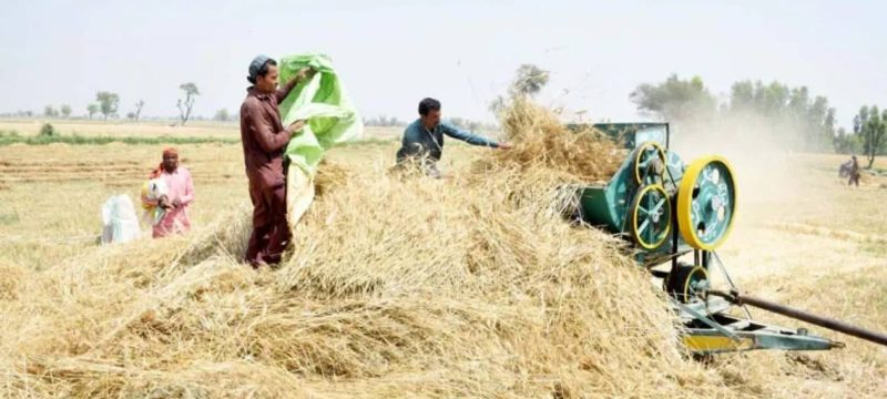 PM Shehbaz Approves AI-Based Overhaul of Agricultural Research