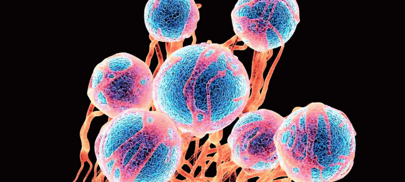 Punjab Expands Cancer Treatment With Five New Cryoablation Machines