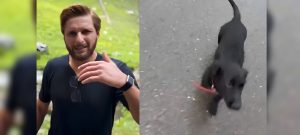 Shahid Afridi’s Pet Dog Goes Missing, Asks Fans for Help
