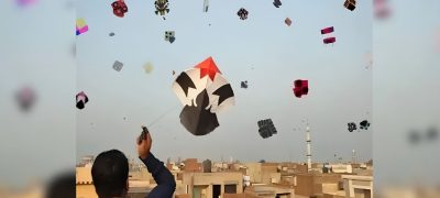 Basant May Return to Punjab in Late January Next Year