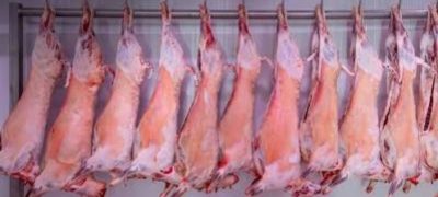 3,000kg Rotten Meat Seized From Passenger Bus In Peshawar