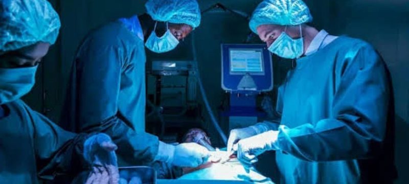 Punjab Grants Transplant Licences to Three Hospitals