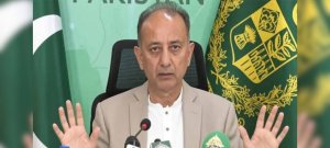 How Much is Govt Collecting in Petrol Levy Per Litre? Musadik Malik Reveals
