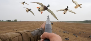 KP Restricts Waterfowl Hunting To Three Days A Week