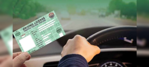 Punjab Suspends Driving License Services During DLIMS Upgrade