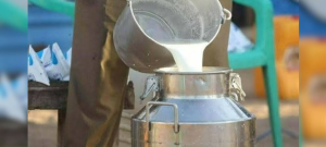 Karachi Dairy Farmers Demand Rs. 60 Increase in Milk Price