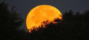 Everything You Need to Know About Hunter’s Moon Visible This Month