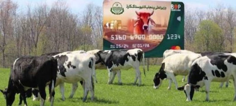 Punjab CM Inaugurates Livestock Card Phase-II By Swiping Card