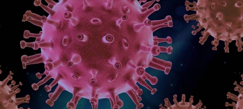 Punjab Govt Alerts Hospitals Over COVID-19 and Seasonal Flu
