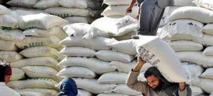 Punjab to Replace 20kg Flour Bags With 10kg Packs From Market