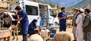 Rs. 2.6 Billion Mobile Veterinary Service Launched for Livestock Farmers in KP